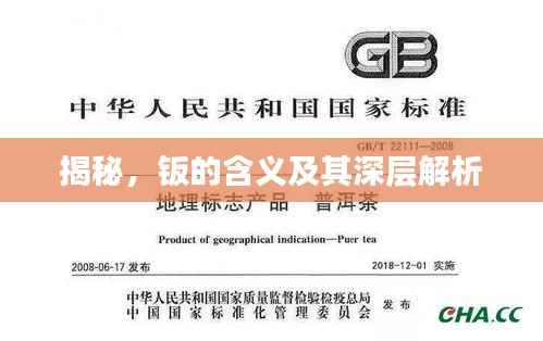 揭秘,钣的含义及其深层解析