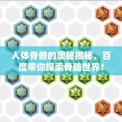 联系我们 第117页