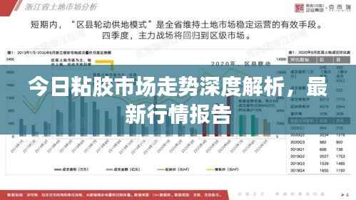 今日粘胶市场走势深度解析,最新行情报告