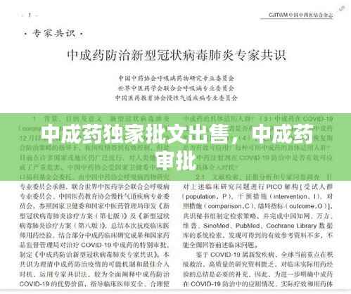 中成药独家批文出售,中成药 审批