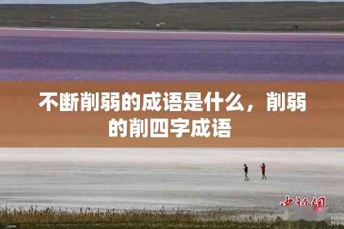 不断削弱的成语是什么,削弱的削四字成语