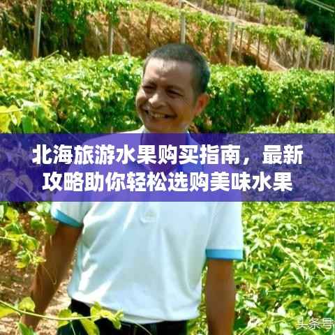 北海旅游水果购买指南,最新攻略助你轻松选购美味水果