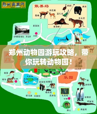 郑州动物园游玩攻略,带你玩转动物园!