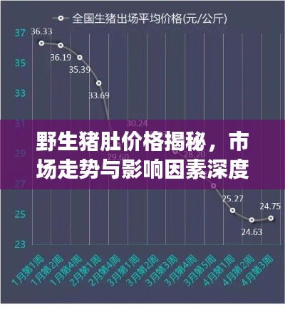 野生猪肚价格揭秘,市场走势与影响因素深度解析