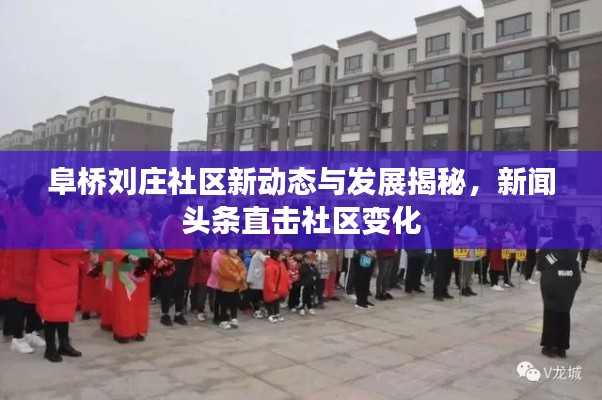 在线留言 第101页