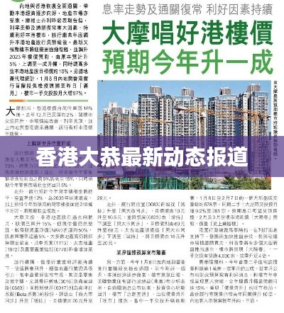香港大恭最新动态报道