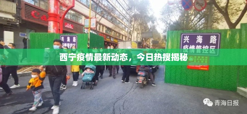 政策法规 第107页