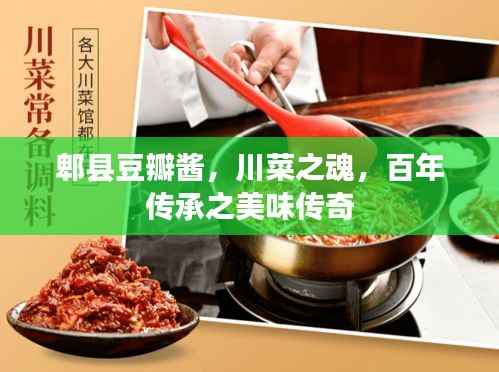 联系我们 第101页