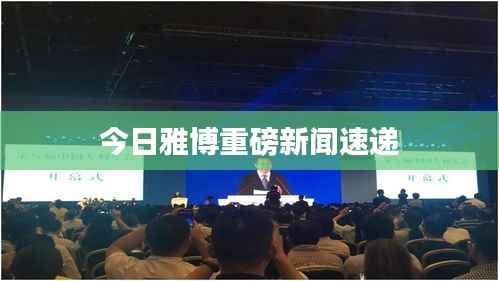 今日雅博重磅新闻速递