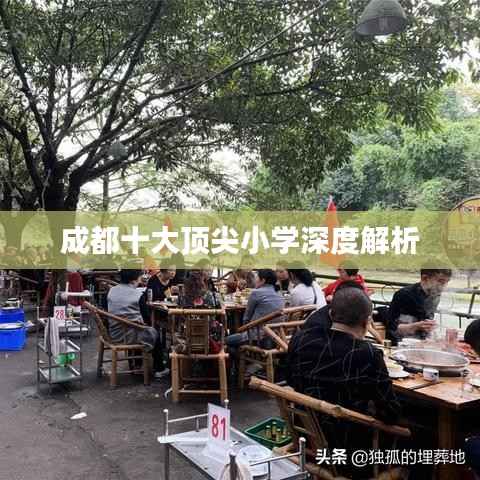 成都十大顶尖小学深度解析