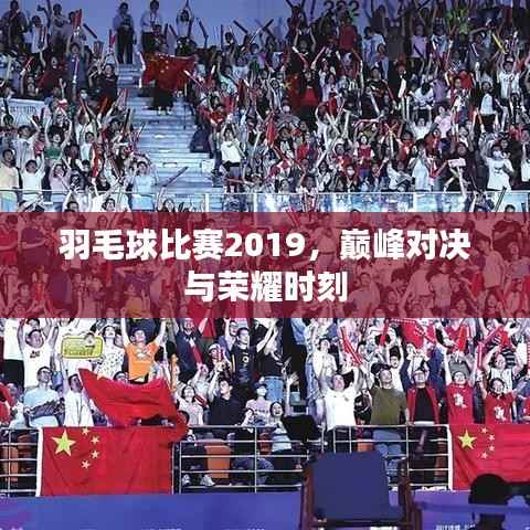 羽毛球比赛2019,巅峰对决与荣耀时刻