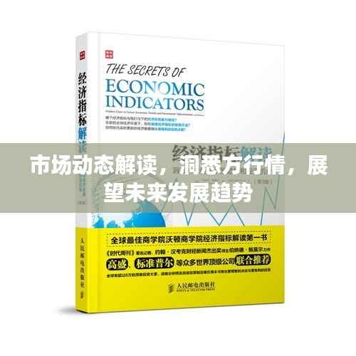 市场动态解读,洞悉方行情,展望未来发展趋势
