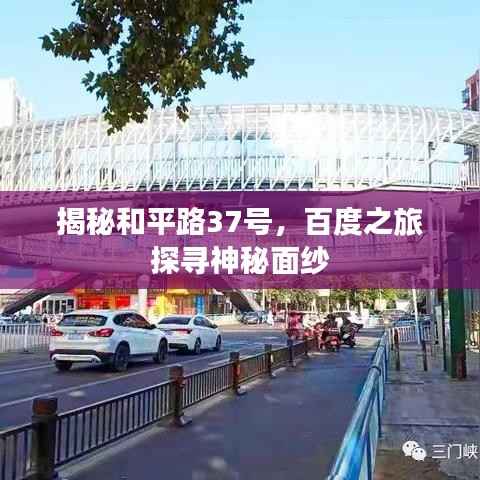 揭秘和平路37号,百度之旅探寻神秘面纱