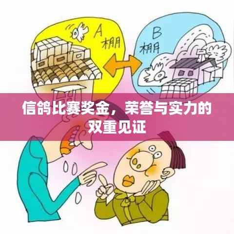 信鸽比赛奖金,荣誉与实力的双重见证