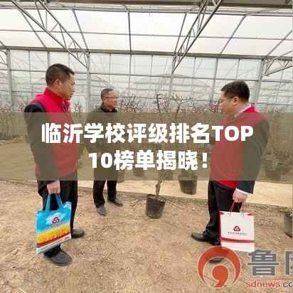 临沂学校评级排名TOP10榜单揭晓!