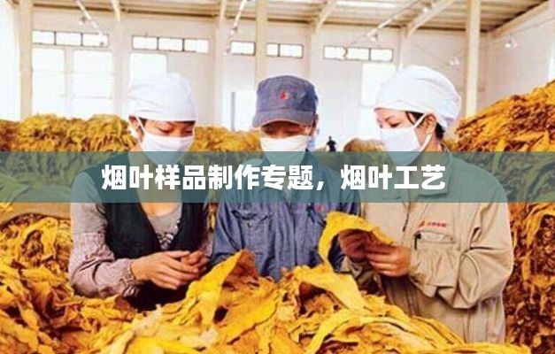 烟叶样品制作专题,烟叶工艺