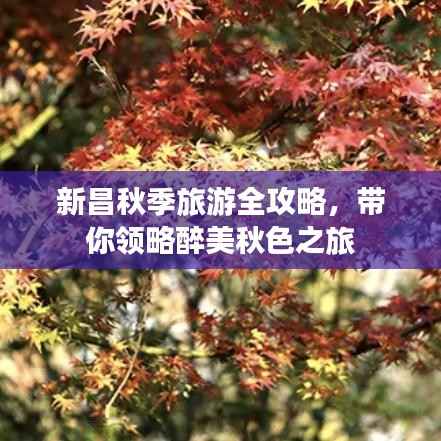 新昌秋季旅游全攻略,带你领略醉美秋色之旅