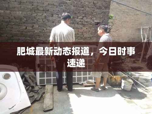 肥城最新动态报道,今日时事速递