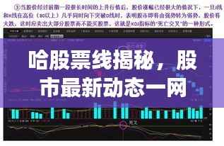 哈股票线揭秘,股市最新动态一网打尽
