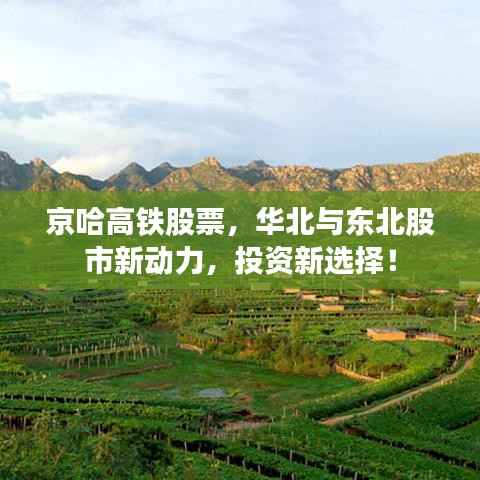 京哈高铁股票,华北与东北股市新动力,投资新选择!