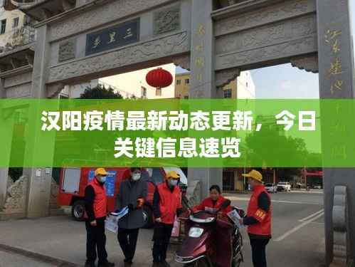 汉阳疫情最新动态更新,今日关键信息速览