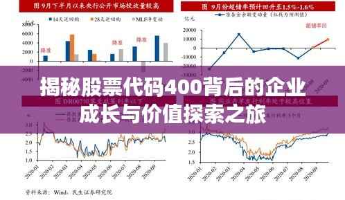 揭秘股票代码400背后的企业成长与价值探索之旅