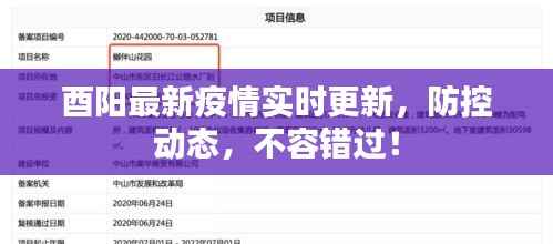 酉阳最新疫情实时更新，防控动态，不容错过！