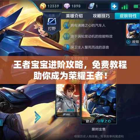王者宝宝进阶攻略，免费教程助你成为荣耀王者！