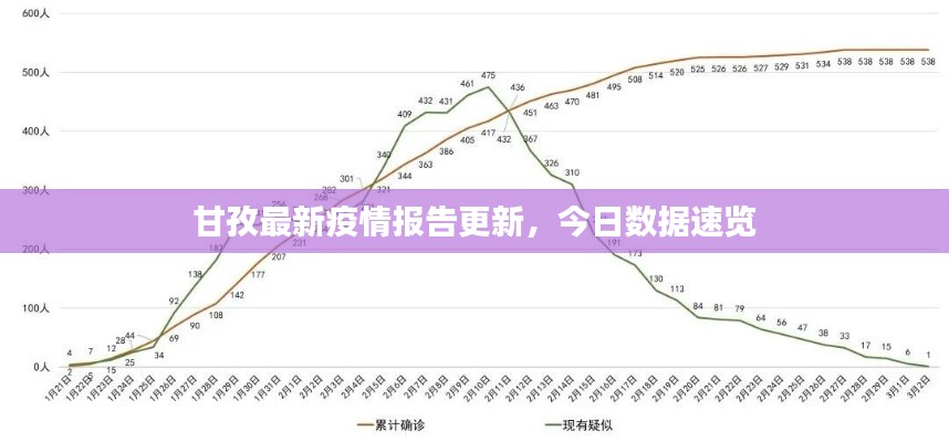 甘孜最新疫情报告更新,今日数据速览