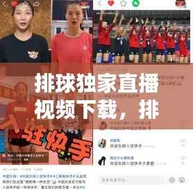 排球独家直播视频下载,排球在线直播免插件