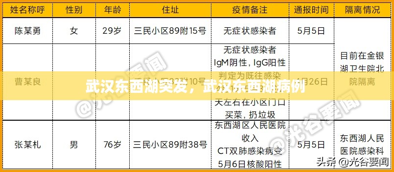 武汉东西湖突发,武汉东西湖病例