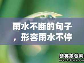 雨水不断的句子，形容雨水不停的四字词语 