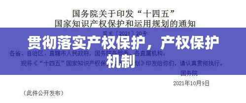 贯彻落实产权保护,产权保护机制
