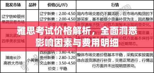 雅思考试价格解析，全面洞悉影响因素与费用明细