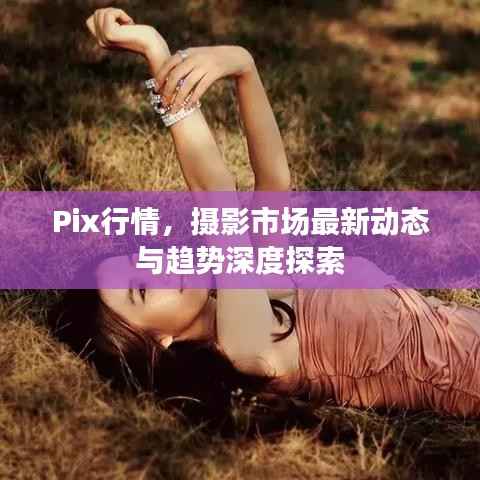 Pix行情,摄影市场最新动态与趋势深度探索