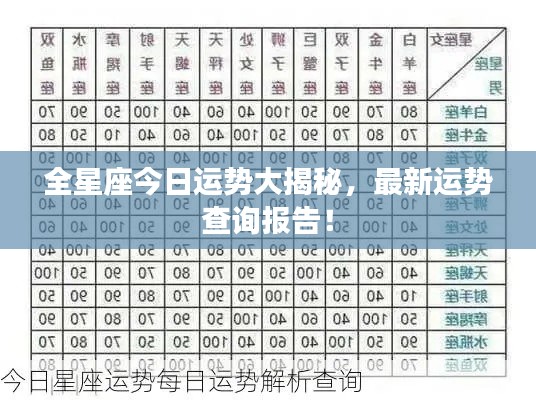 全星座今日运势大揭秘,最新运势查询报告!