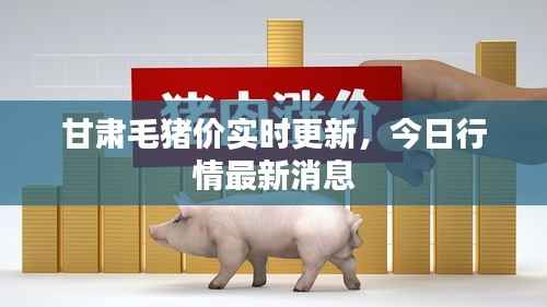 甘肃毛猪价实时更新,今日行情最新消息