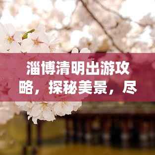 淄博清明出游攻略，探秘美景，尽享文化盛宴！