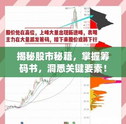 揭秘股市秘籍,掌握筹码书,洞悉关键要素!