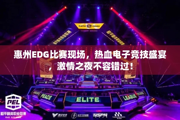 惠州EDG比赛现场,热血电子竞技盛宴,激情之夜不容错过!