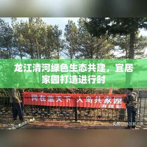 龙江清河绿色生态共建,宜居家园打造进行时